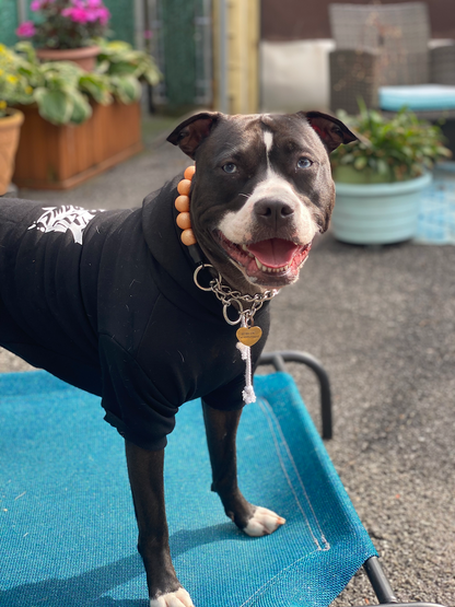 Rebel Outpaws Dog Hoodie